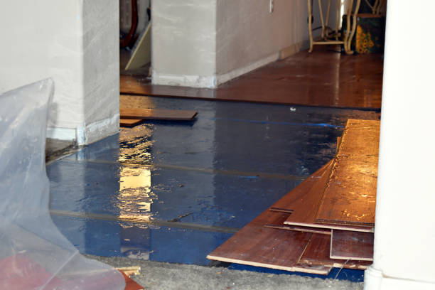 Professional Flood Cleanup technician working in New Bloomington, OH